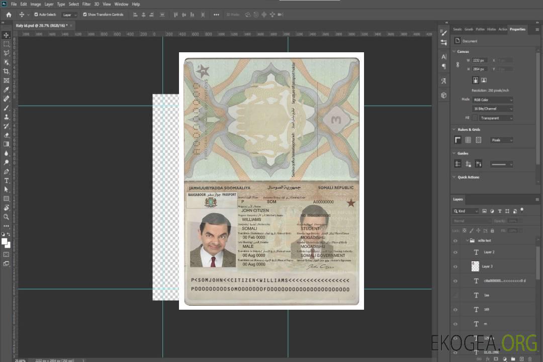 Passeport Somalie (Soomaaliya) template